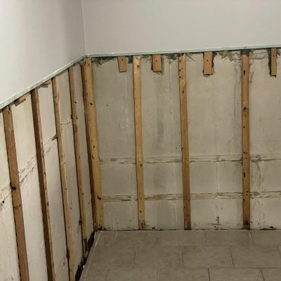 Basement Remediation in Progress