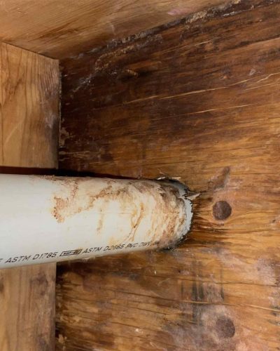 All Suburban Mold Services (12)