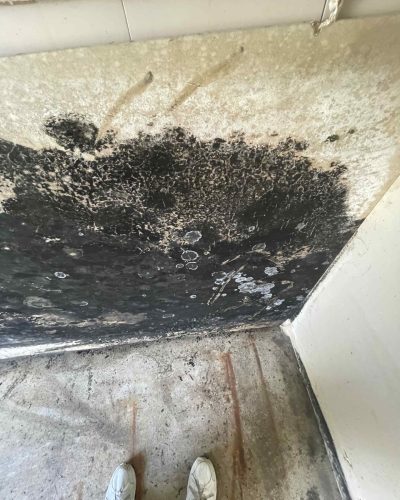 All-Suburban-Mold-Services-6-1.jpg