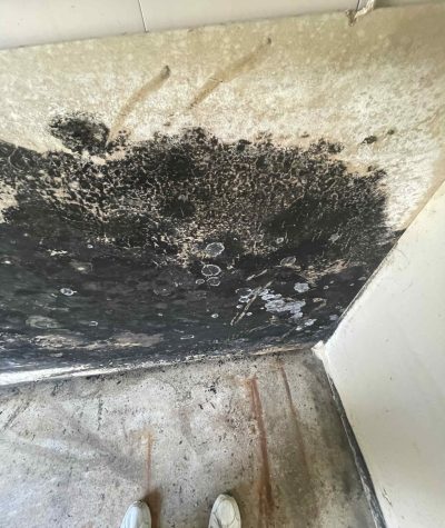 All Suburban Mold Services (6)