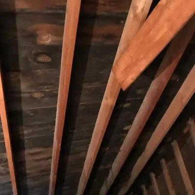 Mold Growing In Attic