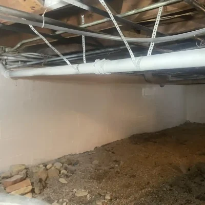 Post Mold Remediation