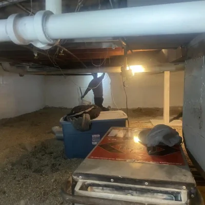 Post Mold Remediation